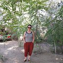  Natasha, , 69  -  23  2025    