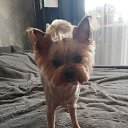 ���� �������, �������, 49 ��� - ��������� 8 ����� 2026 � ������ ���� ����������