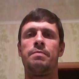 �������, �����������, 46 ���