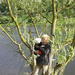 �����, �����, 62 ����