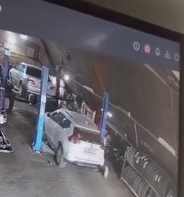 �����������