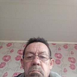 , 65, 
