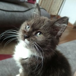 ���� ����, ������, 36 ��� - ��������� 4 ������ 2024