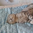 ���� ������, ������, 53 ���� - ��������� 7 ������� 2025 � ������ ���� ����������