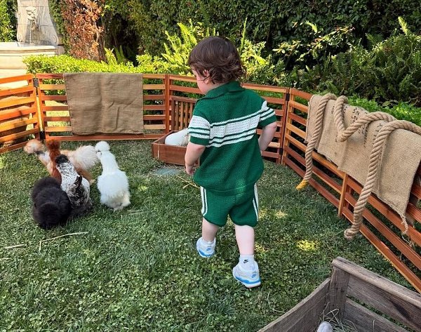 ������ ����� �������� 2-����� ����.39-������ ������� ������� �� �������� ����������� ������� ... - 2