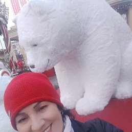 ������, ��������, 55 ���