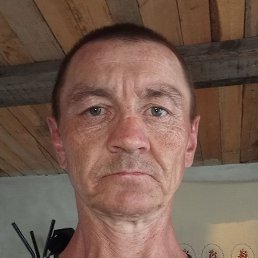 ���� �������, ������, 41 ���