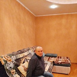 ������, 41 ���, ����