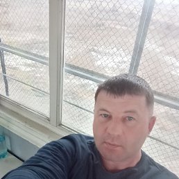 ���� �����, �����������, 44 ���� - ��������� 3 ������ 2026