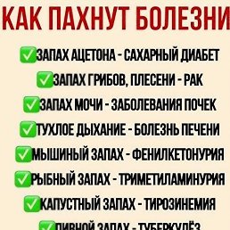 ���� Sss, ����� - ��������� 12 ��� 2026