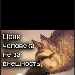 ���� ���, ������, 52 ���� - ��������� 28 ������ 2023