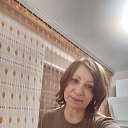 ���� ����, ������, 62 ���� - ��������� 24 ���� 2026 � ������ ���� ����������