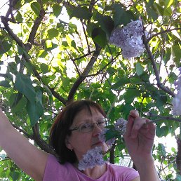 Gala, ��������, 67 ���