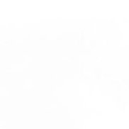 ������, 44 ����, ����