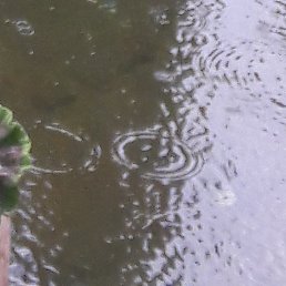 �����, ���������, 49 ���