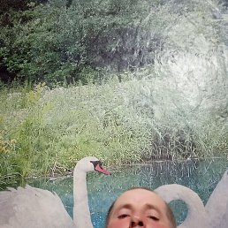 ���� ������, �������������, 44 ���� - ��������� 5 ������ 2023