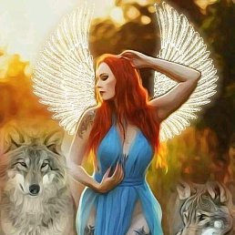 ����, �����������