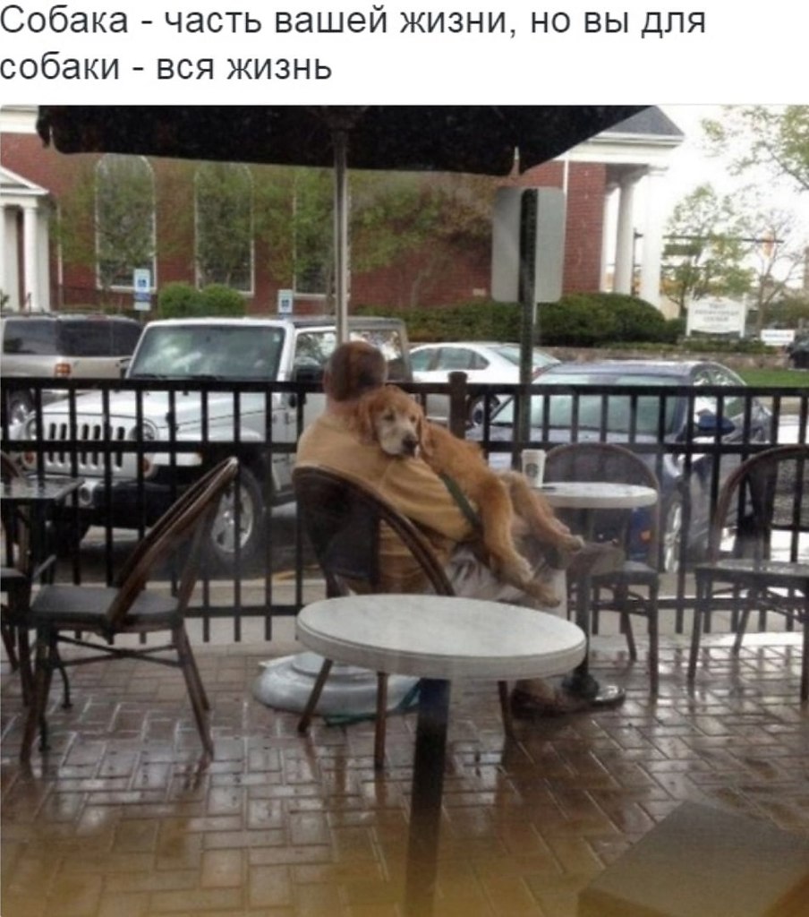 ������� �� ��� ����� ������