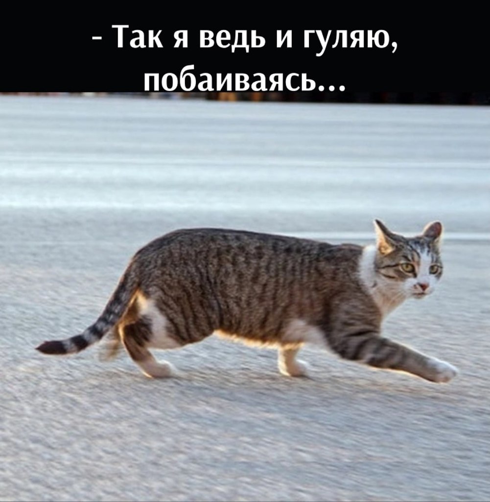       - 29  2025  17:24 - 3