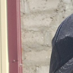 �����, ������������, 47 ���