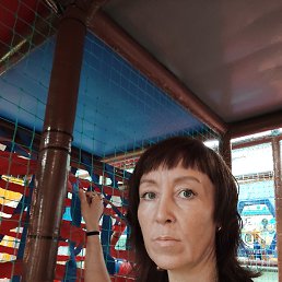 �����, 42 ����, �������