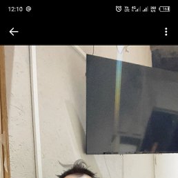 , 33, 