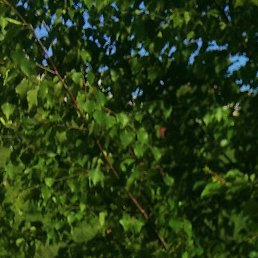 �������, ��������������, 44 ����