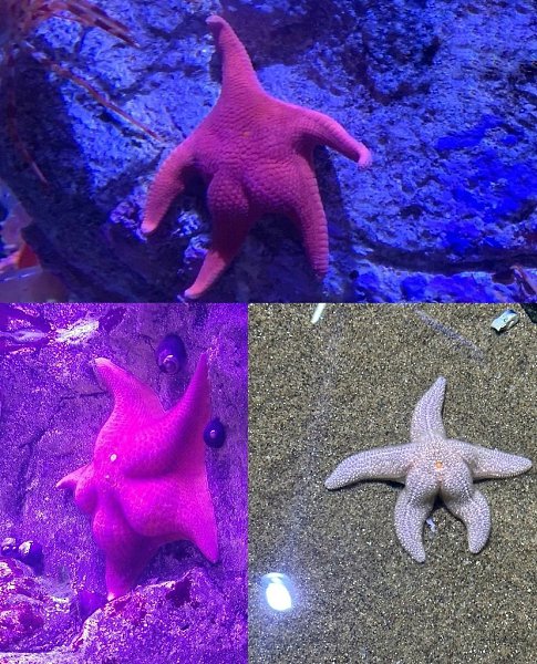 ��� ��������� ������� ������ ���������� ����������. � ������� �� ��������� ���� � ������� ������, ... - 3