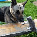 ���� �������, ������, 55 ��� - ��������� 25 �������� 2024 � ������ ������ ��������