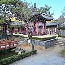 ���� ������, ������, 37 ��� - ��������� 21 ������� 2025 � ������ ���� ����������