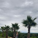 ���� �������, �������� - ��������� 6 ������� 2025 � ������ ���� ����������