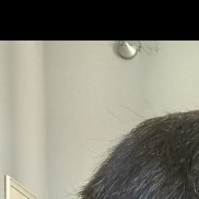 ����, 21 ���, �����������