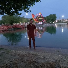 , 24, 