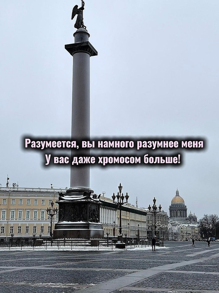 �x�����,������������y����������y���x���y����x - 6