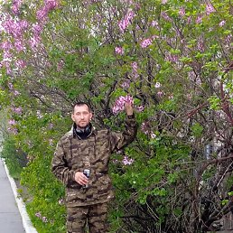 �����, 39 ���, �����������