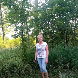 , 65, 