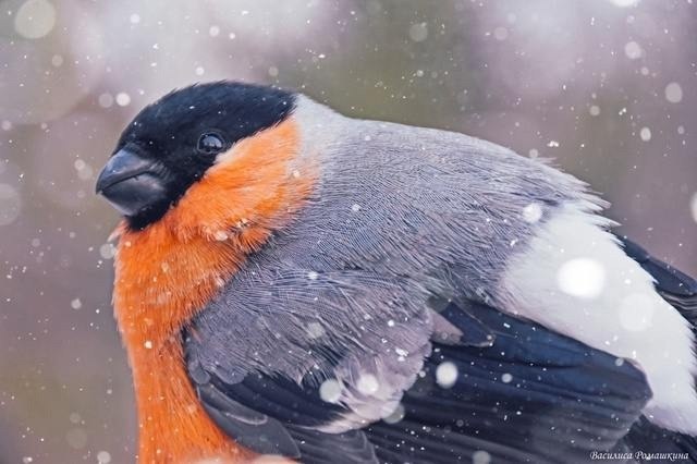    .:    : https://fotostrana.ru/away?to=/sl/ei54 ...