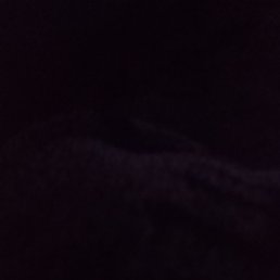 ������, ����, 41 ���