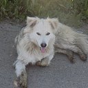 ���� ���������, ���� - ��������� 15 ������� 2024 � ������ ���� ����������