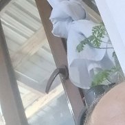 Tolik, 47 ���, �������