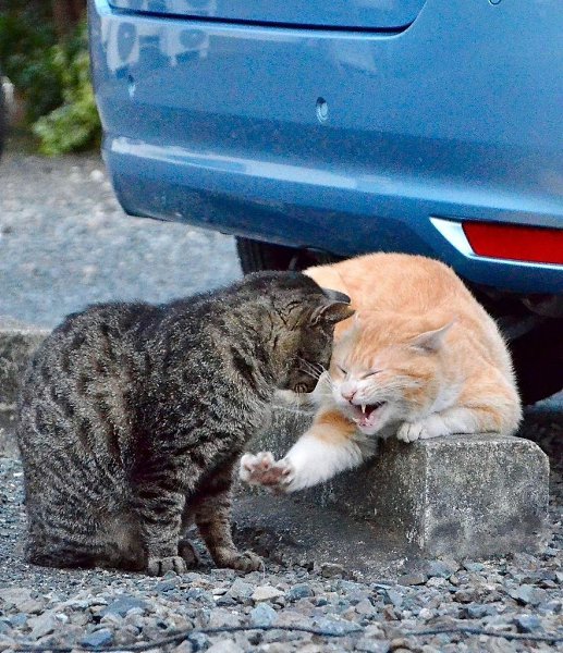����� ������ :3 - 3