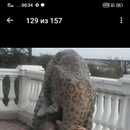 ���� ������, ���, 53 ���� - ��������� 24 ������� 2025