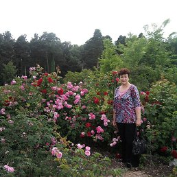 ������, �����, 65 ���