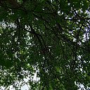  ϸ, , 45  -  4  2025