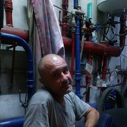 ������, ������, 41 ���