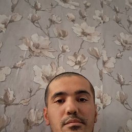 ��������, 37 ���, ������