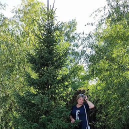 ������, �������