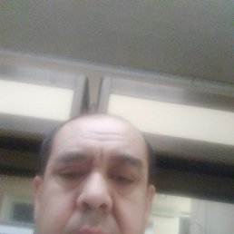 ���� ���, �����-���������, 49 ��� - ��������� 14 ������ 2024