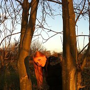 ����, , ������ ��������