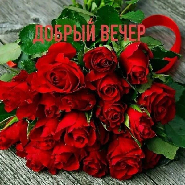   ,    . - 5  2025  17:19